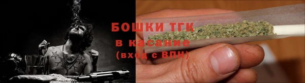 молекула духа Зеленодольск