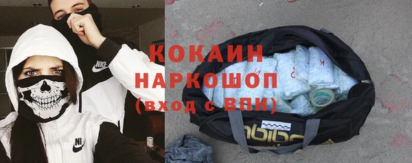 спиды Губаха