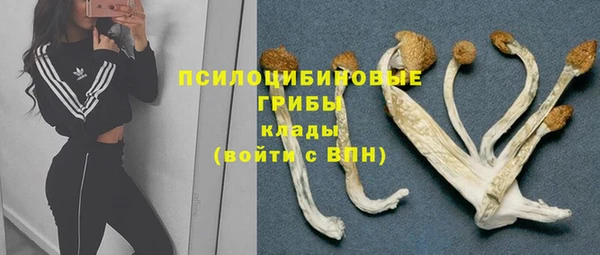 молекула духа Зеленодольск