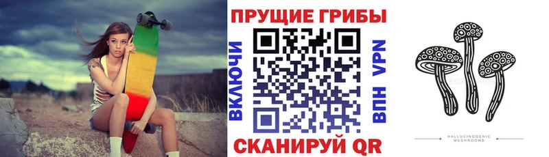 Псилоцибиновые грибы Psilocybine cubensis  Камызяк 